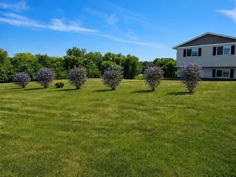 48089 Autumn Court Stanchfield MN 55080