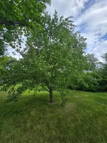 500 Lexington Street Milroy MN 56263