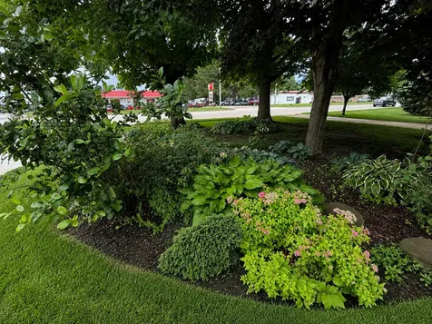 1300 S Section Avenue Spring Valley MN 55975