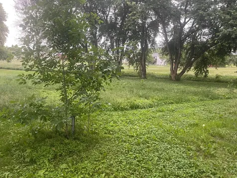 817 Colorado Street NW Lonsdale MN 55046