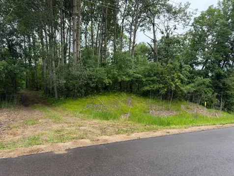 Tbd 130th Street Burtrum MN 56318