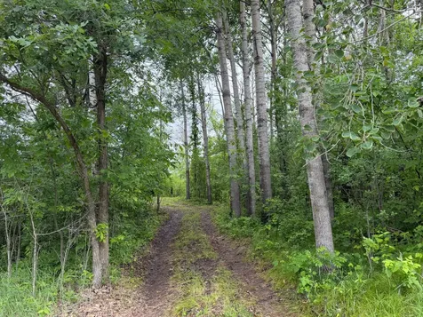 Tbd 130th Street Burtrum MN 56318