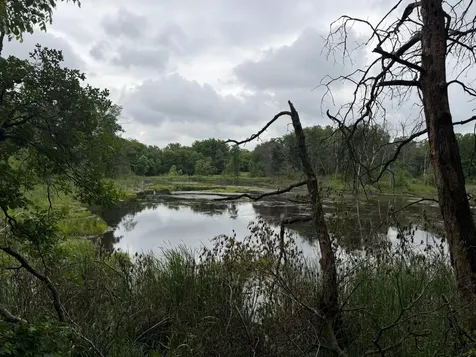 Tbd 130th Street Burtrum MN 56318