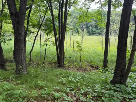 Tbd 130th Street Burtrum MN 56318
