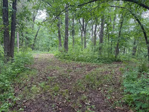 Tbd 130th Street Burtrum MN 56318