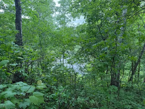 Tbd 130th Street Burtrum MN 56318
