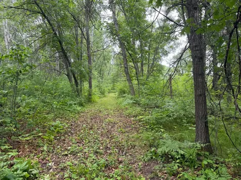 Tbd 130th Street Burtrum MN 56318