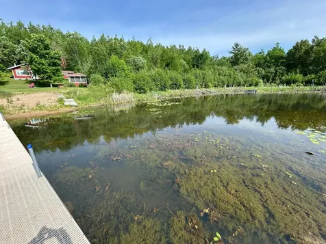 13894 Grouse Trail Bagley MN 56621