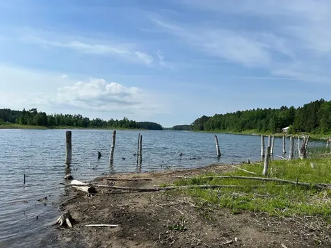 13894 Grouse Trail Bagley MN 56621