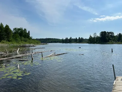 13894 Grouse Trail Bagley MN 56621
