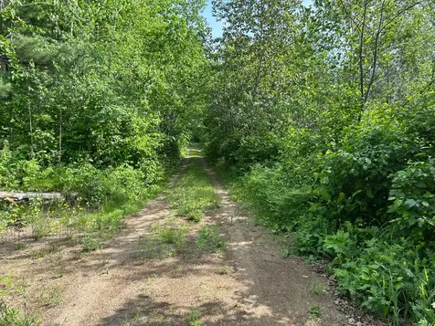 13894 Grouse Trail Bagley MN 56621