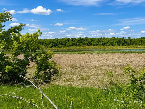 Tbd Co Highway 1 Battle Lake MN 56515