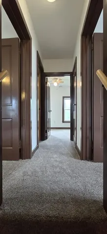 101 Wilson Street Springfield MN 56087