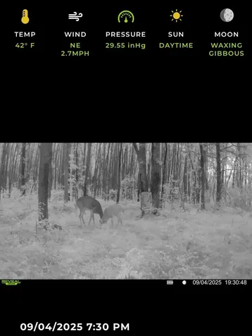 Tbd State 200 Bagley MN 56621