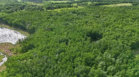 Tbd State 200 Bagley MN 56621