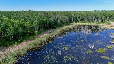 Tbd State 200 Bagley MN 56621