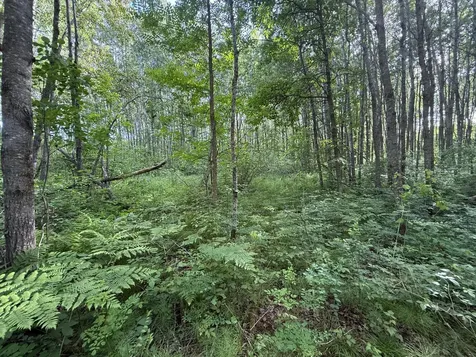 Tbd State 200 Bagley MN 56621