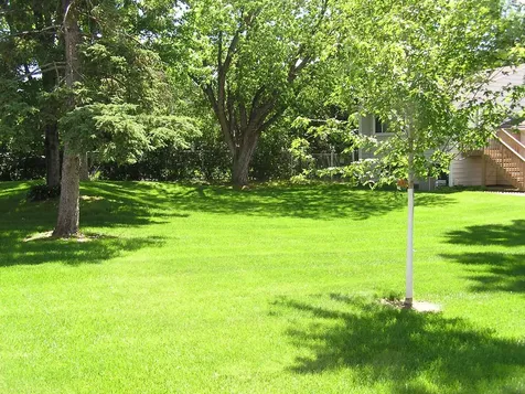 2041 103rd Avenue NW Coon Rapids MN 55433
