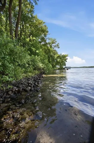 29747 Silent Shore Drive Dent MN 56528