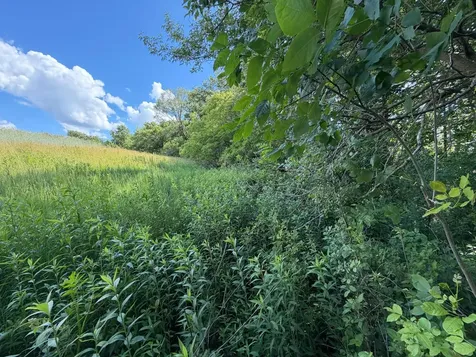 Tbd 48th Street NE Rochester MN 55906