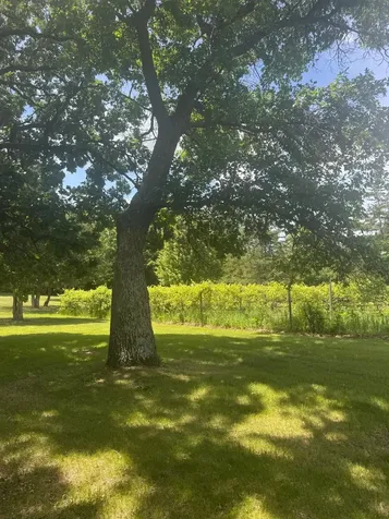 1711 54th Street SE Saint Cloud MN 56304