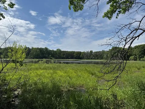 6272 61st Street S Cottage Grove MN 55016