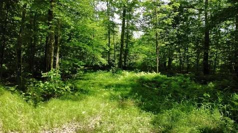 35004 322nd Lane Aitkin MN 56431