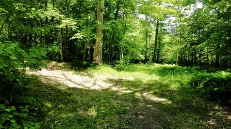 35004 322nd Lane Aitkin MN 56431