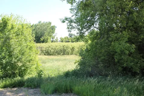 Tbd 225th Street Silver Lake MN 55381