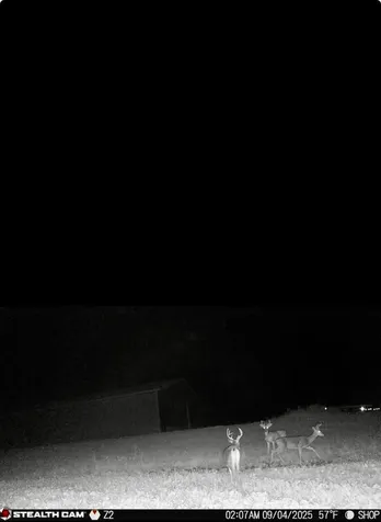 13272 County 11 Audubon MN 56511