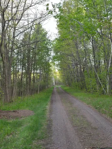 34437 County 18 Cushing MN 56443