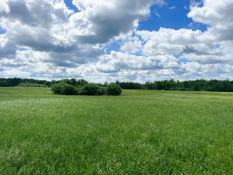 TBD2 Mud Lake Road Bagley MN 56621