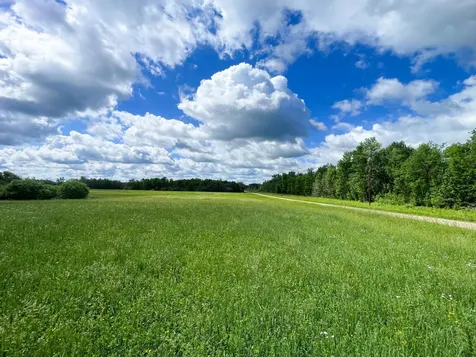 TBD2 Mud Lake Road Bagley MN 56621