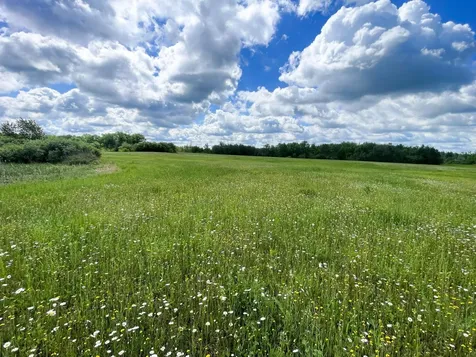 TBD2 Mud Lake Road Bagley MN 56621