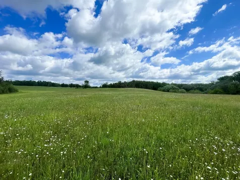 TBD2 Mud Lake Road Bagley MN 56621