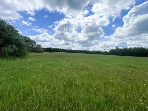TBD2 Mud Lake Road Bagley MN 56621