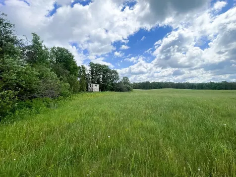 TBD2 Mud Lake Road Bagley MN 56621
