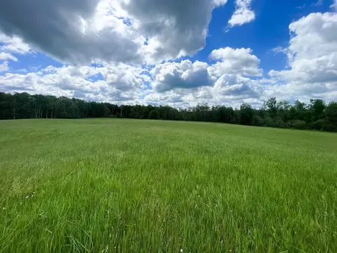 TBD2 Mud Lake Road Bagley MN 56621