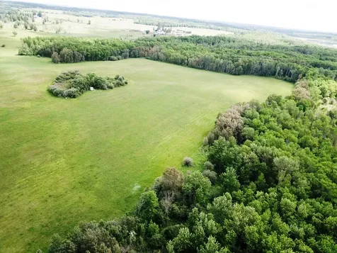 TBD2 Mud Lake Road Bagley MN 56621
