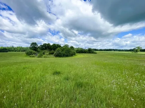 TBD2 Mud Lake Road Bagley MN 56621