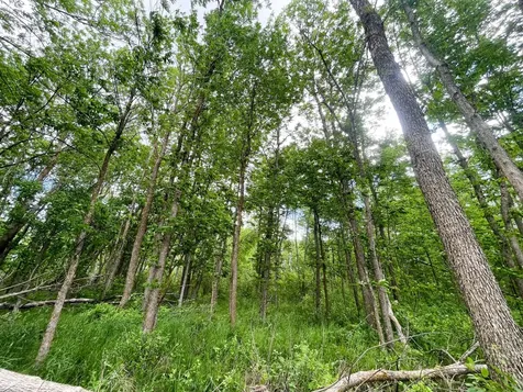 TBD2 Mud Lake Road Bagley MN 56621