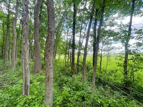 TBD2 Mud Lake Road Bagley MN 56621