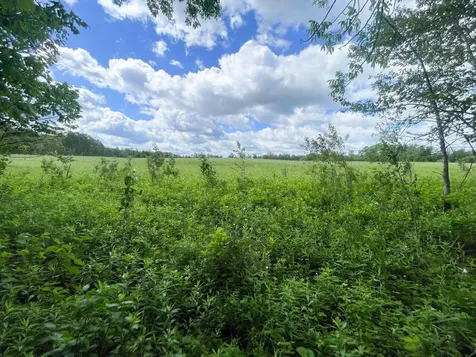 TBD2 Mud Lake Road Bagley MN 56621