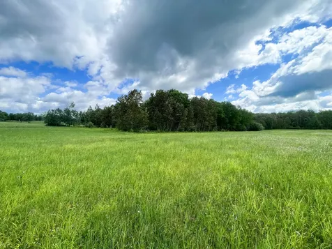 TBD2 Mud Lake Road Bagley MN 56621