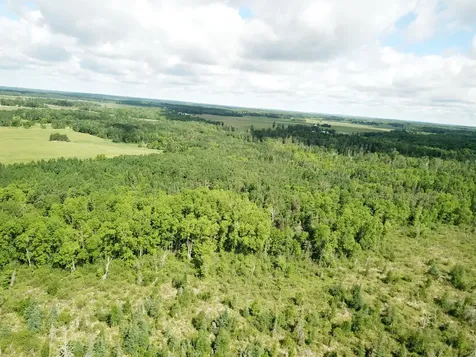 TBD1 Mud Lake Road Bagley MN 56621