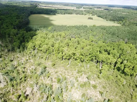 TBD1 Mud Lake Road Bagley MN 56621