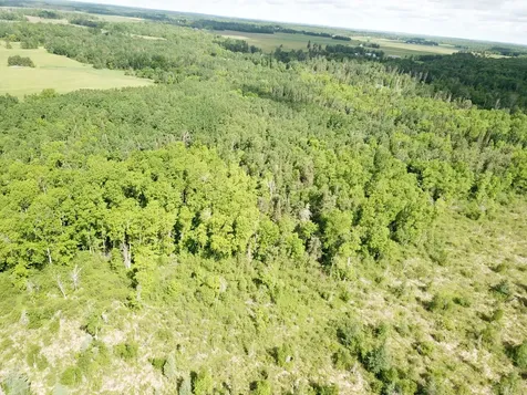 TBD1 Mud Lake Road Bagley MN 56621