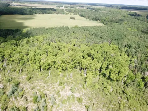 TBD1 Mud Lake Road Bagley MN 56621