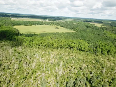 TBD1 Mud Lake Road Bagley MN 56621