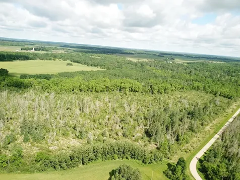 TBD1 Mud Lake Road Bagley MN 56621